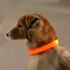 Colliers pour chiens laisses collier lumineux pour animaux de compagnie nuit sécurité clignotant réglable pour petit chat brillant PerroDog laisseschien