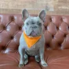 Köpek Giyim Üçgen Bandaj Klasik Mektuplar Baskı Tasarımcısı Moda Marka Ayarlanabilir Yaka Atkısı Pet Tükürük Havlu Boyun Eşarp