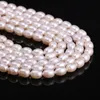 Autres perles de culture d'eau douce naturelles perles en forme de riz 100% pour la fabrication de bijoux collier à faire soi-même Bracelet accessoires Rita22