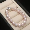 Beaded Strands Multi-Color Selection Pearl Armband Natural Shell Imitation Armband Round Pärlor för män Kvinnliga smycken gåvor 8 10mm fawn22