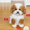 Adorável Shih Tzu Cão Collectible Decor Figurine Com Vidro Olhos De Cães Pedigree Animais Animais Animais Estátua De Casa Jardim De Ornamento Presentes