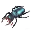 Simulações Insecte Pequeno Animal Brinquedos Ant Cruzando Scorpion Ladybug Dragonfly Simulação Animais Modelo T9I001344