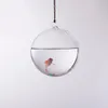 hanging glass ball vases