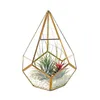 Szklana wazon Geometryczny Terrarium Strona główna Stół Dekoruj Piramid Diamentowy Łzy Kształt Sadzarka do Soczysty Fern Moss Miniaturowy Wróżka Container (brak roślin)