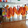 children dragon costume