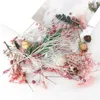1 Caixa de plantas seco de flores secas reais para aromaterapia vela epóxi resina pingente de pingente jóias Fazendo acessórios de diy artesanato 1309 3946024