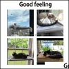 Cat Pet Leverty Home Gardencat bedden meubels raam baars hangmat zitruimte spaar en veiligheid gemonteerd bed voor grote katten drop levering