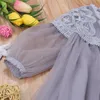 Meisjesjurken Kids Baby Meisje Mesh See Through Dress Long Mouw Ronde hals Kant Mooie Princess Formal Tiered voor de zomer