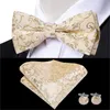 mor paisley bowtie