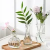 Mini Transparent Glass Vase Living Room Flowers Arrangement Decoration Hydroponic Dried Flower Bottle Creative