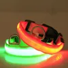 Collari per gatti Guinzagli Collare luminoso per animali domestici LED resistente agli strappi Lampeggiante super luminoso