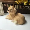 Simulación peluche juguete realista golden retriever perro muñeca modelo artesanía decoración para el hogar regalo para bebés educativos para niños juguete suave 220217