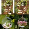 Wazony Strona główna Décor Globe Globe Kształt Wyczyść Wiszące Szkło Wazon Kwiat Rośliny Terrarium Container Micro Krajobraz DIY Ślubna Dekoracja