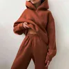 Chándal de mujer Casual Fleece conjuntos de dos piezas de gran tamaño con capucha de manga larga con capucha para mujer traje de deporte de invierno pantalones conjunto de damas 211105