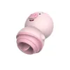 NXY Vibrators 2022Wholesale Silikon Vaginal Vibrator Vuxen Sex Toy Kvinna Klitoriella Vuxna Kvinnor Använd leksaker Fun för 0107