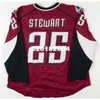 24S Men Cleveland Lake Erie Monsters 25 Stewart Hockey Jersey or custom any name or number retro Jersey