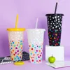 PP Bebidas Mudança a frio Creative Tumblers Chá de frutas 700ml xícaras de água plástica única mudança de camada mudando no copo de palha líquido de gelo