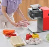 Eten verwerking apparatuur 250 kg / h commerciële elektrische vlees snijmachine grinder plantaardige snijder Shred machine 1100W home automatische voedsel chopper chipper