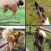 MySudui Truelove Mesh Nylon Hundeleine Laufen Reflektierend Sicheres Gehen Training Haustier Hundeleine Leine Für Hundeleinen Klein Groß 210712