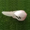 12st, 10 * 4 * 4,5 cm Dekorativ Mini Rosa fågel Konstgjorda Skum Fjäder Kärlek Fåglar Med Clip För Juldekoration, Bröllop, Hem Y201006