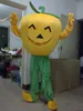 Performance Pumpkin Vegetable Mascot Costume Halloween Christmas Fancy Party Cartoon Character Outfit Suit Adult Women Men Dress Carnival Unisex Adults