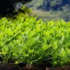 プランターポット未定義の植物の成長袋のホームガーデンポテト温室野菜の植栽の保湿ジャルダンは苗の鍋を成長させる