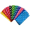 Disposable Baby Shower Birthday Party Table Covers Plastic Dot Tablecloth for Home Decoration