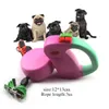 Dog Collars & Leashes Collar Leash Automatic Retractable Harness Puppy Rope Walking Cat Traction Small Medium Pet Supplies