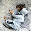 Cat Pet Clothes For Dog Puppy Hoodies Coat Winter Sweatshirt Warm Sweater Dog Outfits Dog Jacket Pet Four-legged Clothes