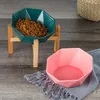 Huisdier voedsel water feeder wit met standaard keramische gekanteld verhoogde verhoogde huisdier kom met bamboestand voor katten en honden geen spill 250ml