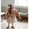 Korea Style Baby Girls Sweatshirts Lace Collar Long Sleeve Cotton Thick T-shirts Children Clothes E20568 210610