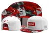 Cayler Sons Snapbacks Hats Mens Womens Ball Caps Akceptuj mix zamówienie za darmo DH11