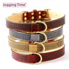 padded leather dog collars