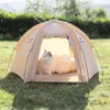 cat play tents