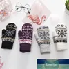 Kadın Eldiven Kış Örme Sıcak Eldiven Narin Desen Rüzgar Geçirmez Eldiven Eldivenler Noel için Isıtmalı Fabrika Fiyat Uzman Tasarım Kalitesi Son Stil