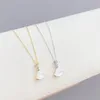 Pendant Necklaces Small Skirt Necklace Women's Fashion Fan-Shaped Clavicle Chain White Shell Item Jewelry Wholesale