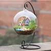 Micro Landscape Ecological Bottle Iron Frame without Vases Wrought Irons Hanging Plant Flower Stand Wedding Home Decoration Supplies WLL664