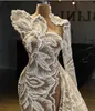 lace sleeve bodycon dress