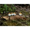 Uccello Decor Micro Mini Animali Giardino Figurine in miniatura Rana su Foglia Animale Action Figure Giocattoli Ornamento Accessori Hogar Casa C0220