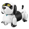 Programmierbare \ Drahtlose Fernbedienung Intelligente Tiere Spielzeug Roboter Hund Fernbedienung Spielzeug Kinder