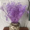 Decoratieve bloemen kransen 60 g natuurlijke frisse adem droge conservering baby bloem diy gedroogde gypsophila boeket woondecoratie