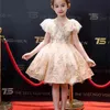 Gold Sequins Flower Girl Dress Embroidered Flare Sleeve Princess Dresses for Party Wedding Baby Clothes 3-12Y SH001 210610