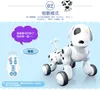 Perro inteligente con Control remoto inalámbrico de 2,4G, juguete educativo electrónico para mascotas, Perro Robot de baile ruso, regalo de cumpleaños