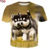 T-shirts Djur Husky 3D 3D-tryck T-tröja Harajuku djur T-shirts Män Kvinnor Sommar Fashion Casual Hip Hop Streetwear Topps