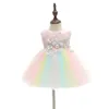 Kolorowa Dziewczynka Christening Suknia Haft Pierwszy Urodzinowy Chrzest Sukienka Dla Wesele Party Kids Odzież 9770BB 210610