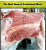 MTS737 Commercial Meat Tenderizer Machine Manual for Kitchen Appliance
