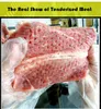 MTS737 Commercial meat tenderizer machine manual for kitchen appliance