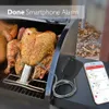 AidMax Nanol Draadloze Afrika Digitale Keuken Koken Voedsel Vlees Thermometer met Sonde voor BBQ Roker Grill Oven 210719