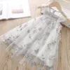 Tjejer designer klänning 2020 sommar mode prinsessan klänning barn trend andlig spets mesh blomma broderade klänningar barnkläder 535 y2