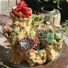 Amerikansk trasig rotform trä succulent harts blomma kruka utomhus balkong inredning hantverk trädgård villa ornament dekoration 210922